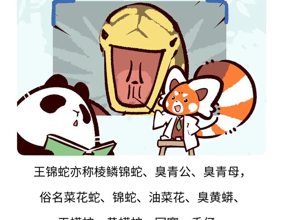 《胖达x胖达》第164话 第26页