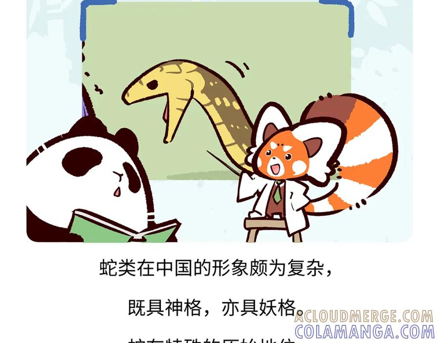 《胖达x胖达》第164话 第19页