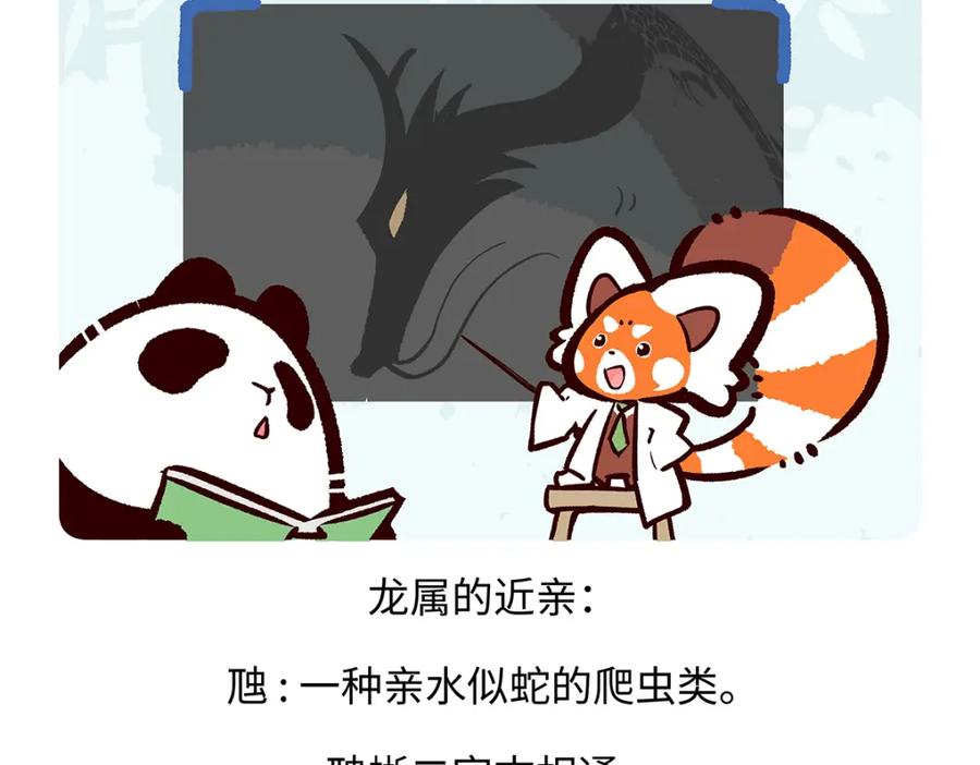 《胖达x胖达》第167话 第20页