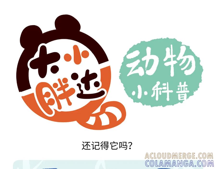 《胖达x胖达》第167话 第19页
