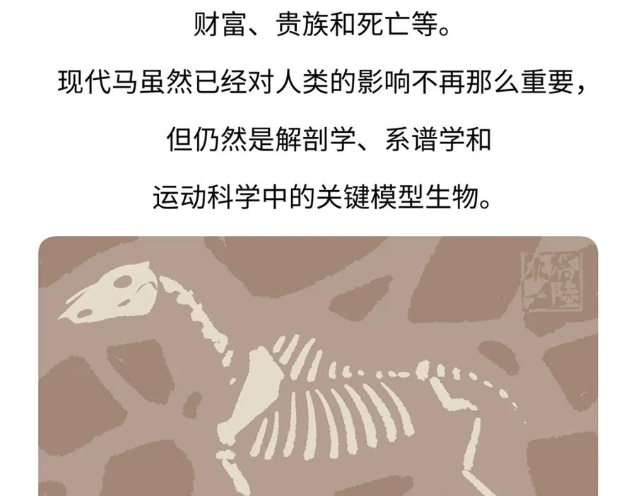《胖达x胖达》第168话 第28页