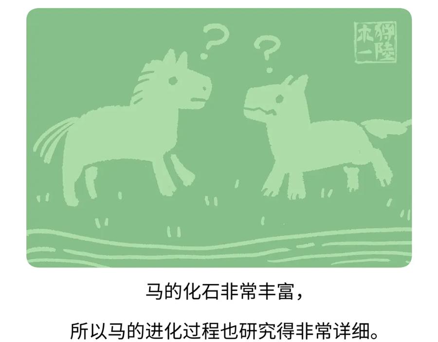 《胖达x胖达》第168话 第22页