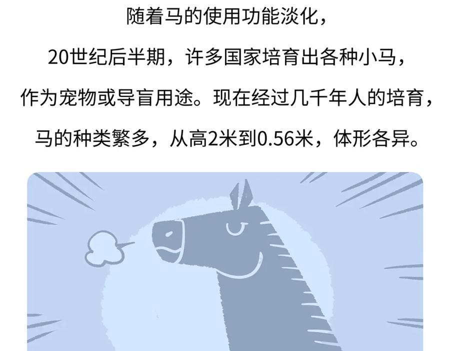 《胖达x胖达》第168话 第30页