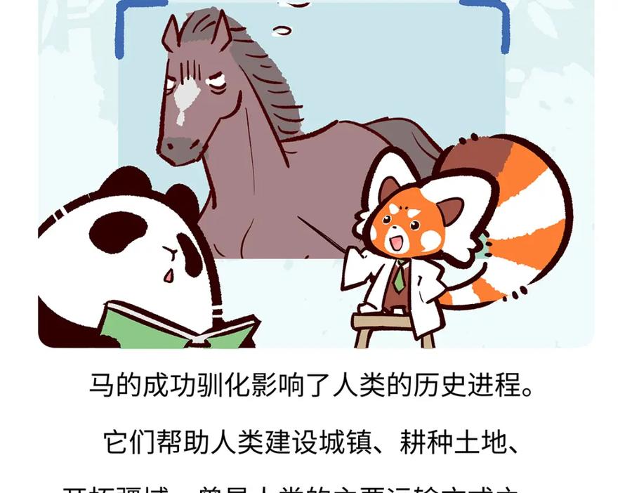 《胖达x胖达》第168话 第26页