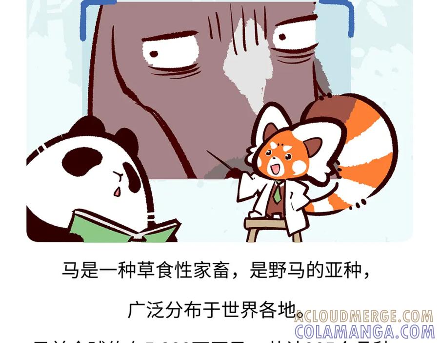 《胖达x胖达》第168话 第19页