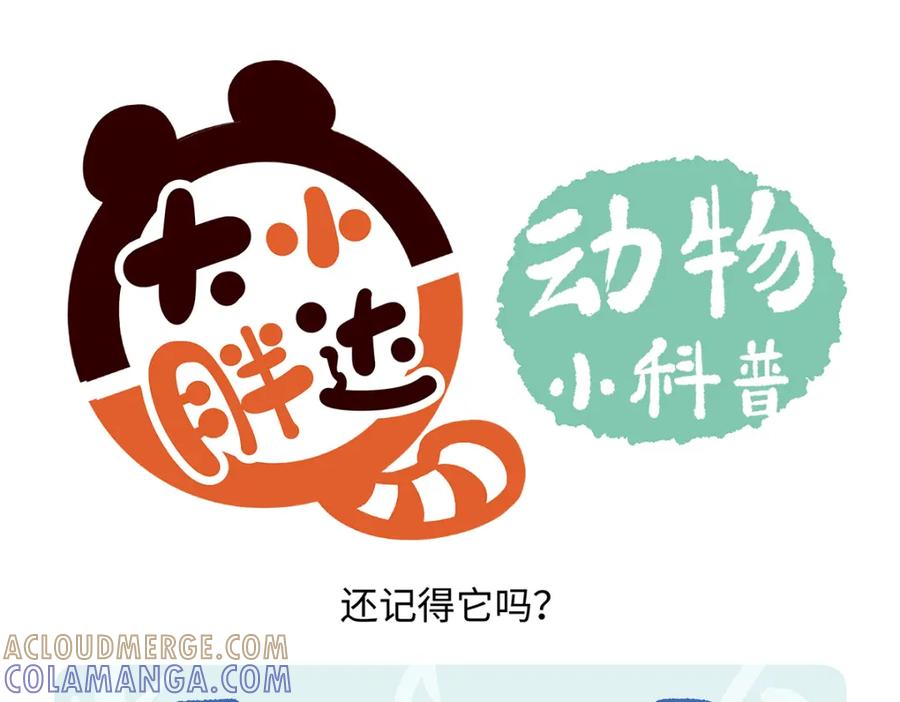《胖达x胖达》第168话 第25页