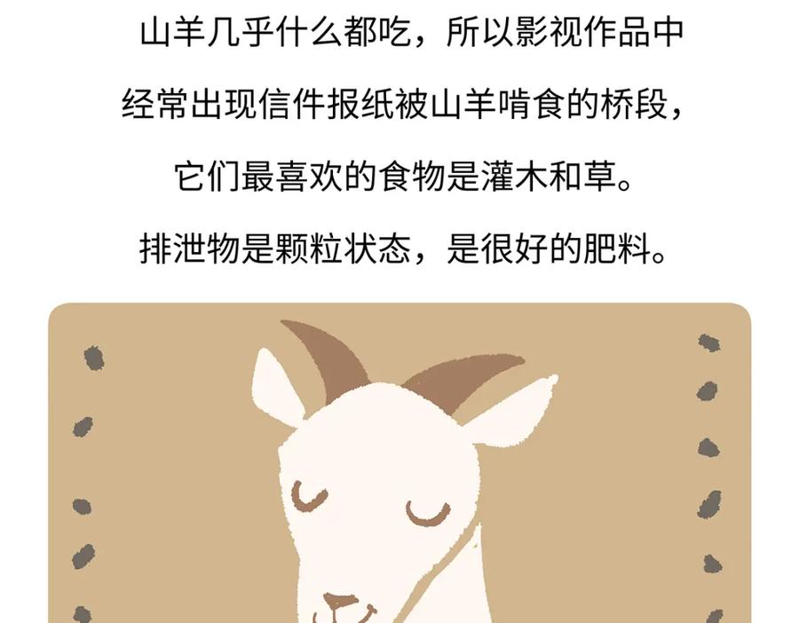 《胖达x胖达》第169话 第28页