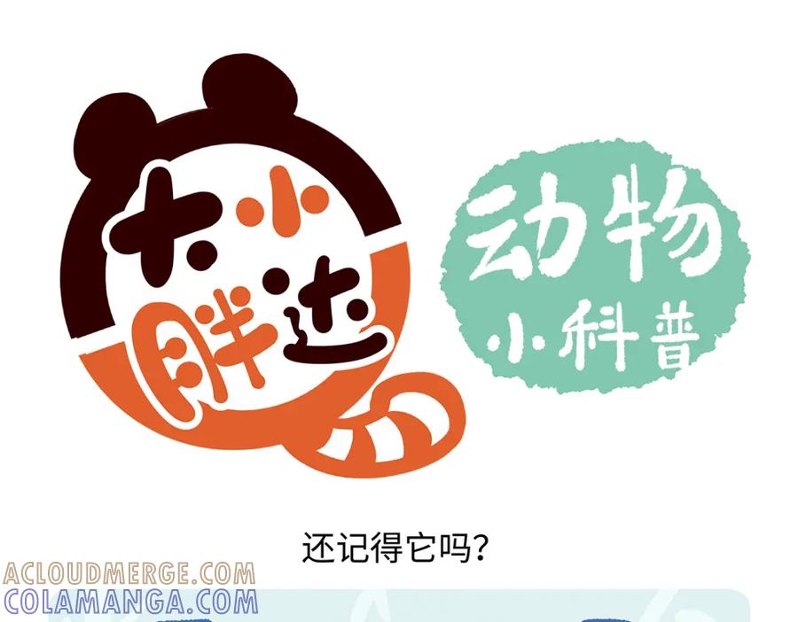《胖达x胖达》第169话 第23页