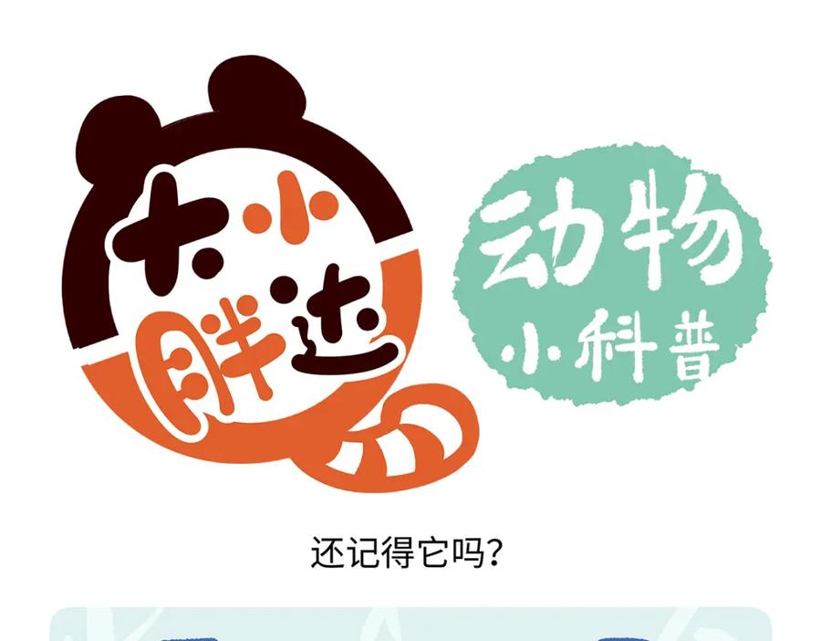 《胖达x胖达》第169话 第16页