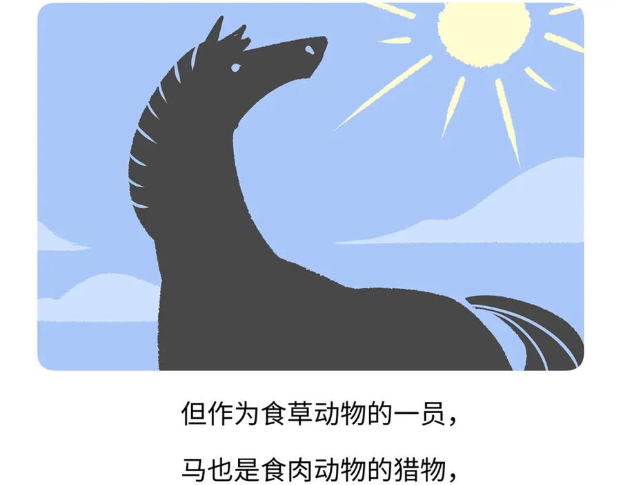 《胖达x胖达》第169话 第20页
