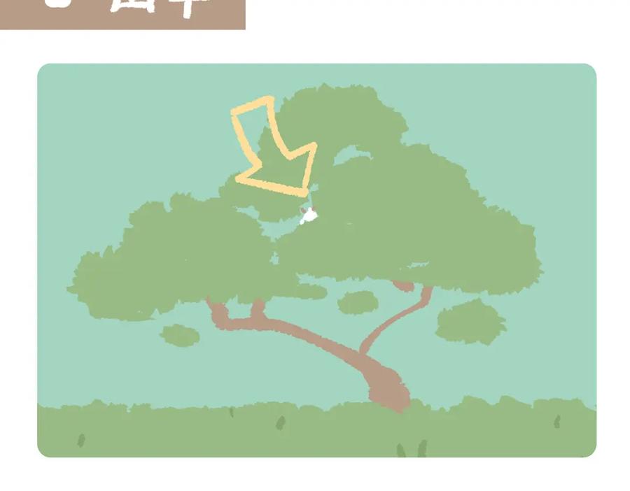 《胖达x胖达》第169话 第12页