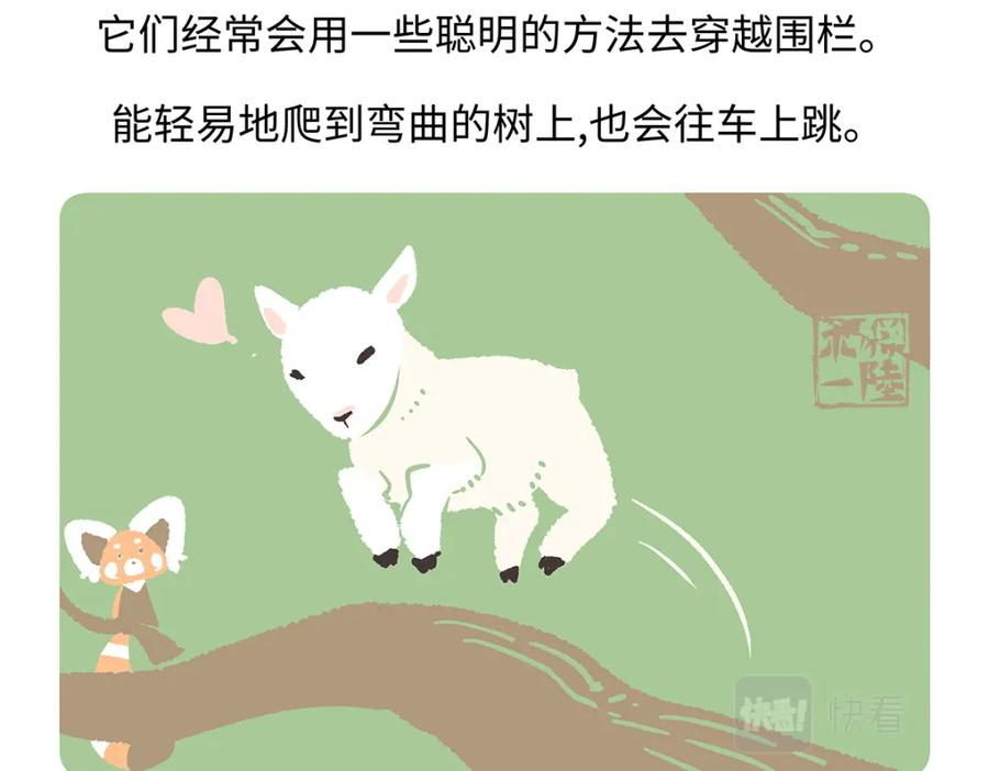 《胖达x胖达》第169话 第26页