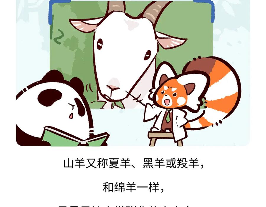《胖达x胖达》第169话 第24页