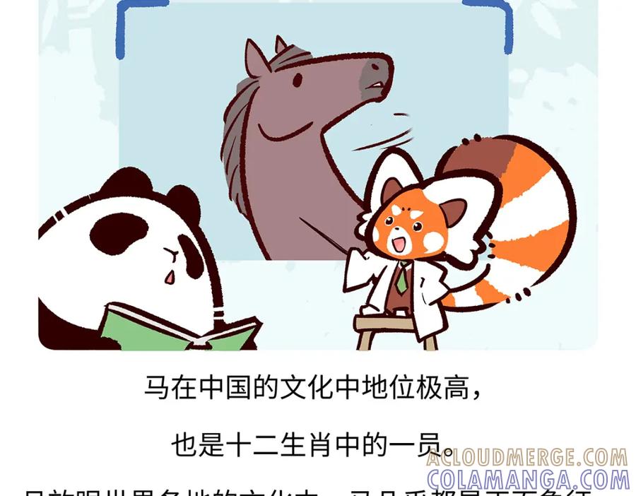 《胖达x胖达》第169话 第17页