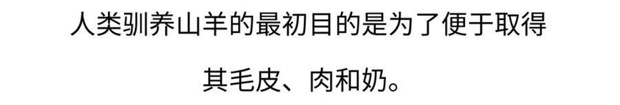 《胖达x胖达》第170话 第20页