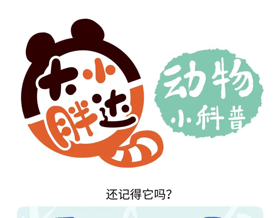 《胖达x胖达》第170话 第24页