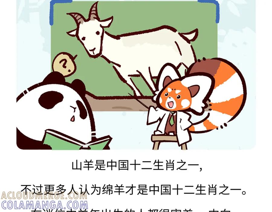 《胖达x胖达》第170话 第25页