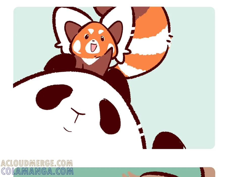 《胖达x胖达》第171话 第17页