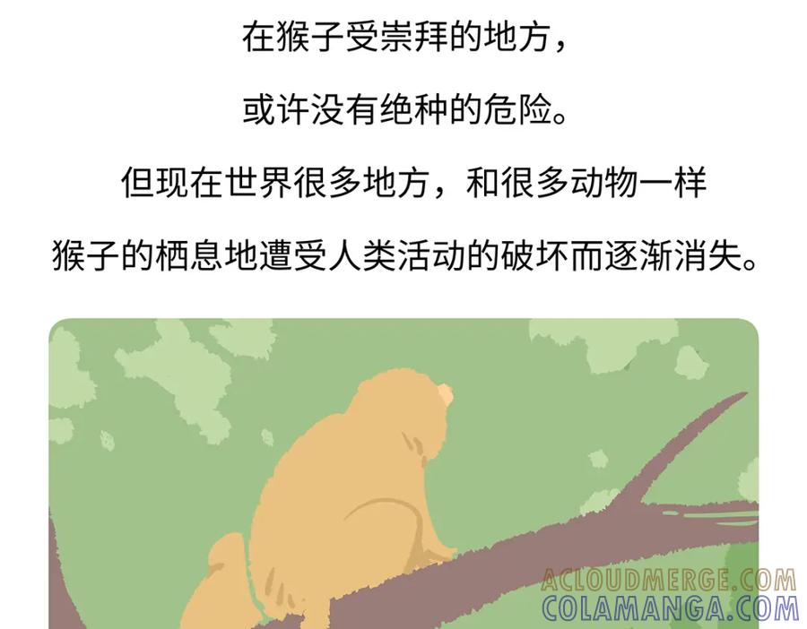 《胖达x胖达》第171话 第31页