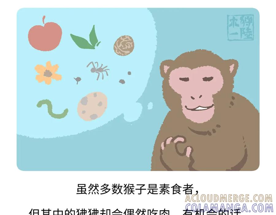《胖达x胖达》第171话 第23页
