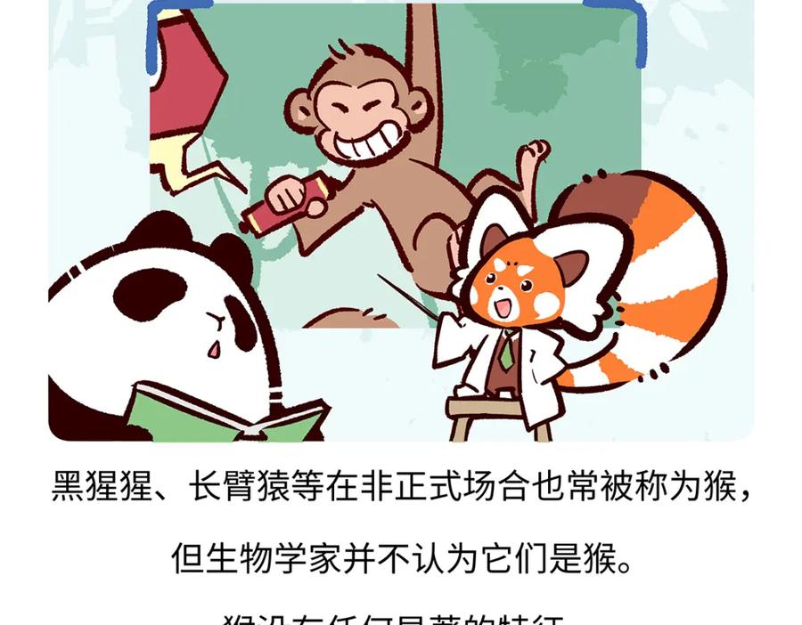 《胖达x胖达》第171话 第20页