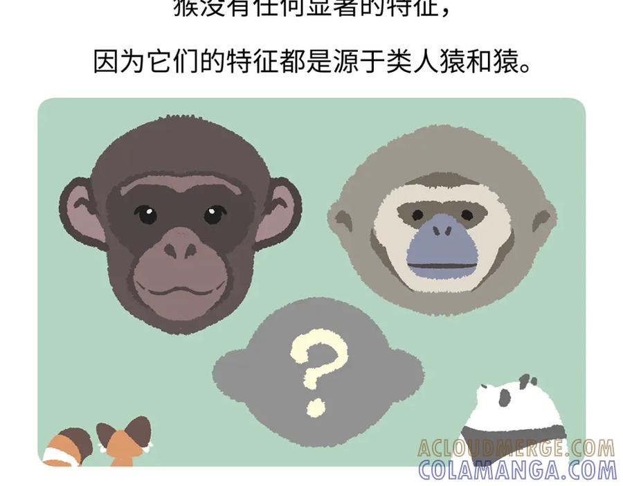 《胖达x胖达》第171话 第21页