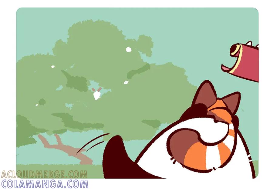 《胖达x胖达》第171话 第3页