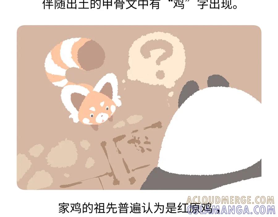 《胖达x胖达》第172话 第21页