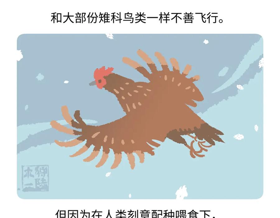 《胖达x胖达》第172话 第24页