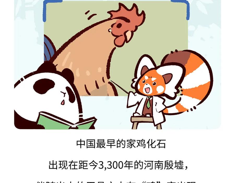 《胖达x胖达》第172话 第20页