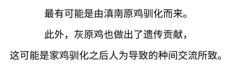 《胖达x胖达》第172话 第22页