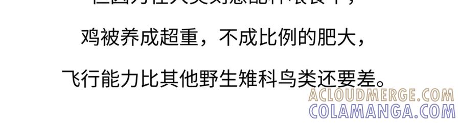 《胖达x胖达》第172话 第25页