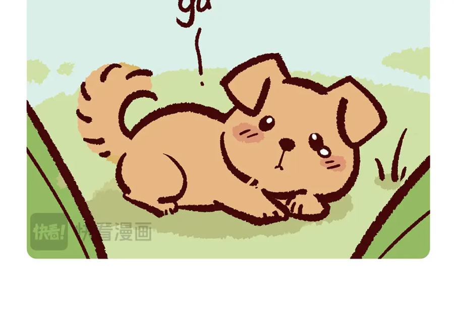 《胖达x胖达》第173话 第16页