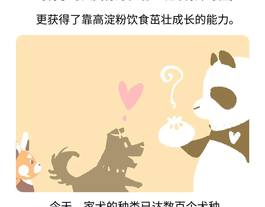 《胖达x胖达》第173话 第22页