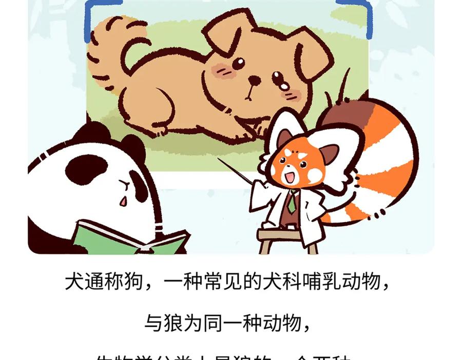 《胖达x胖达》第173话 第18页