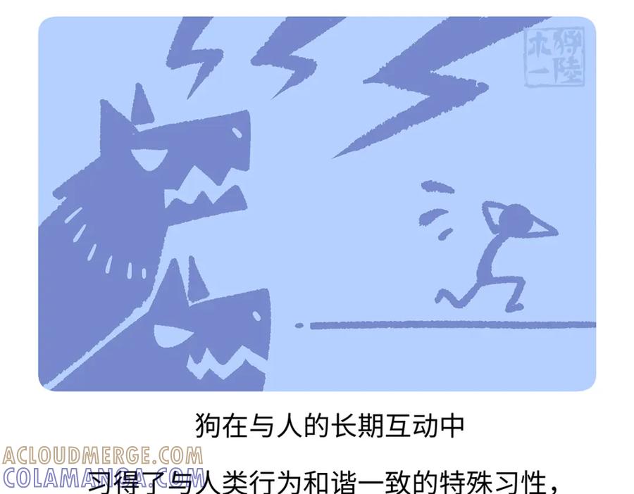 《胖达x胖达》第173话 第21页