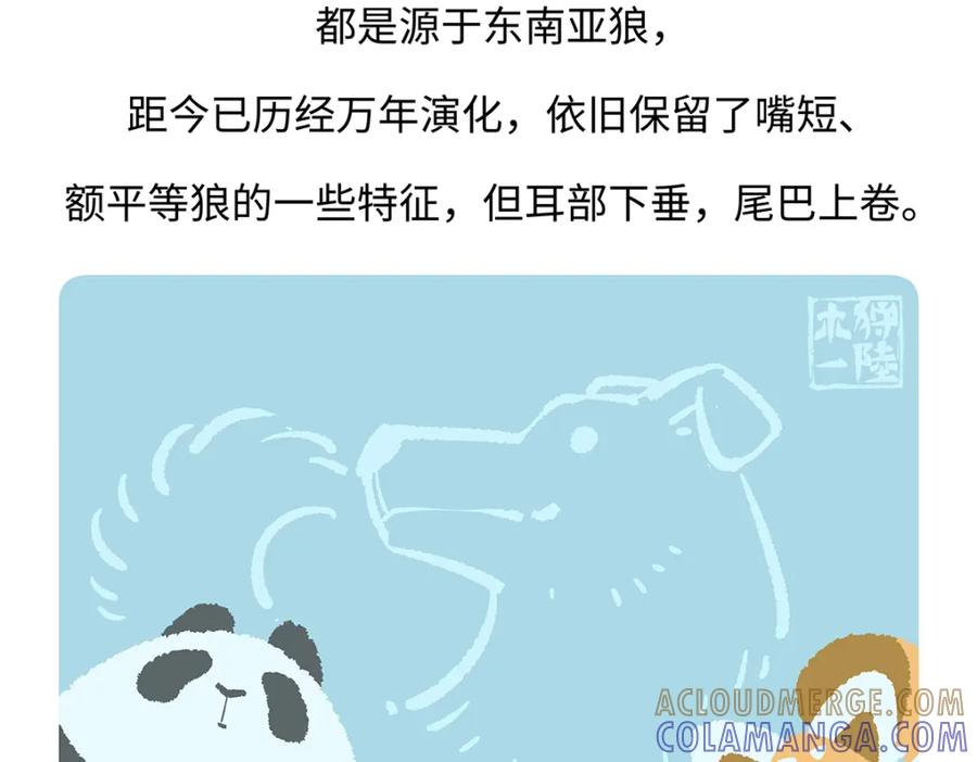 《胖达x胖达》第173话 第27页