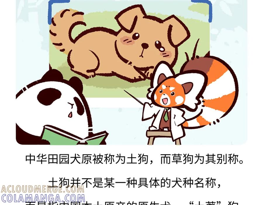 《胖达x胖达》第173话 第25页