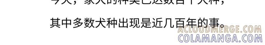 《胖达x胖达》第173话 第23页