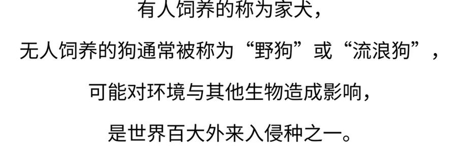 《胖达x胖达》第173话 第20页
