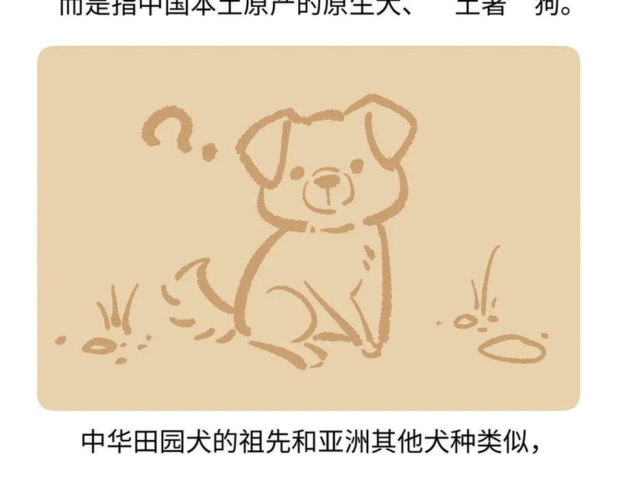 《胖达x胖达》第173话 第26页