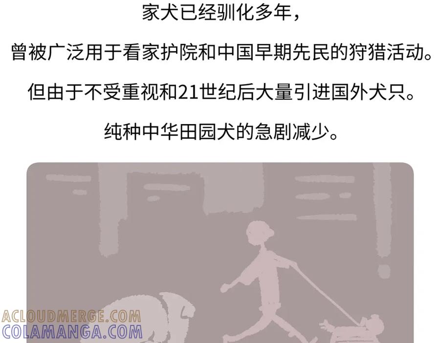 《胖达x胖达》第173话 第29页