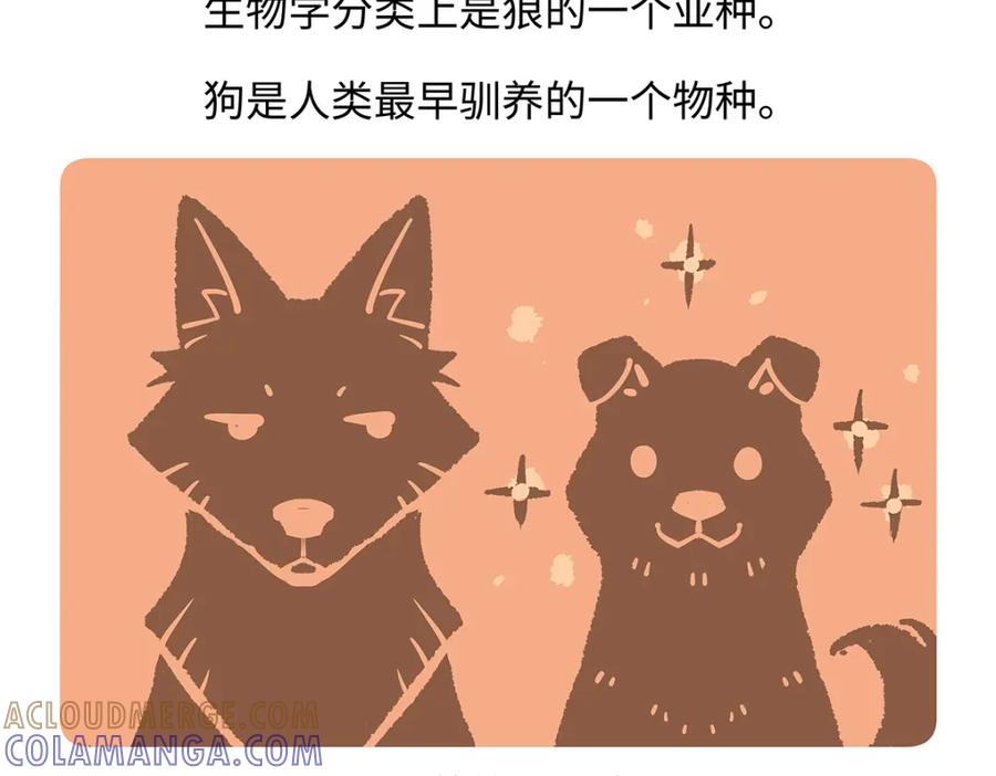 《胖达x胖达》第173话 第19页