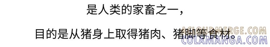 《胖达x胖达》第174话 第19页