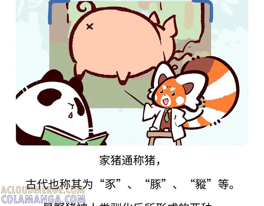 《胖达x胖达》第174话 第17页