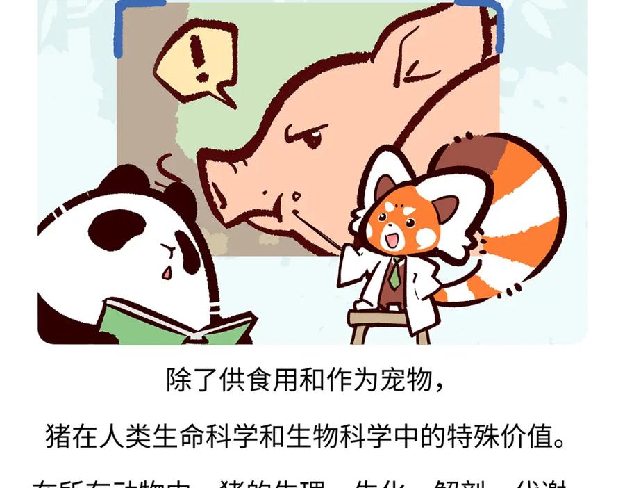 《胖达x胖达》第174话 第24页