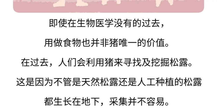 《胖达x胖达》第174话 第26页