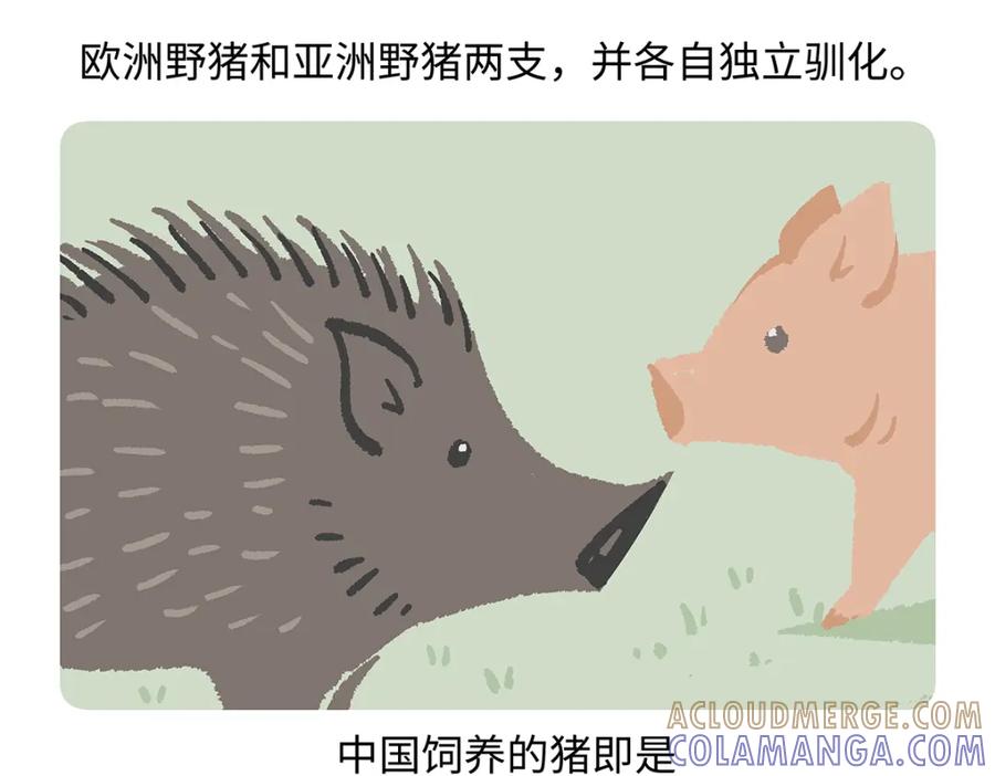 《胖达x胖达》第174话 第21页