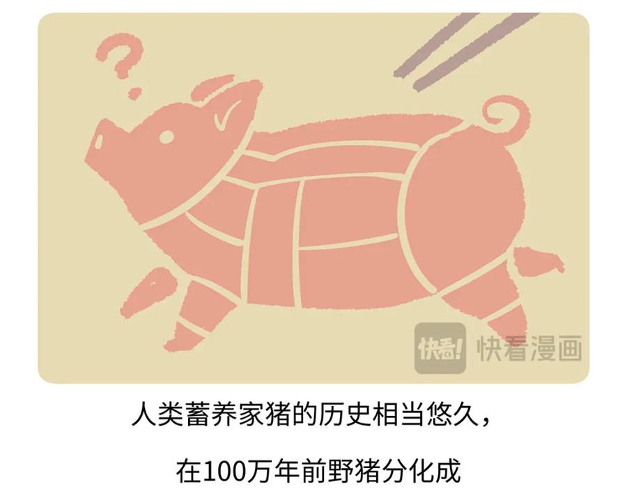 《胖达x胖达》第174话 第20页