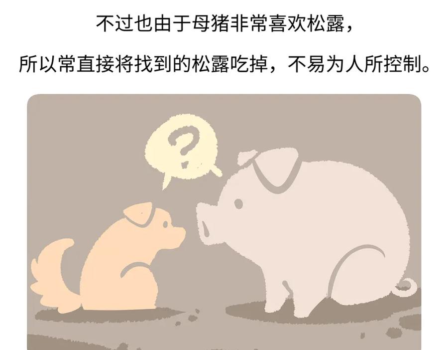 《胖达x胖达》第174话 第28页